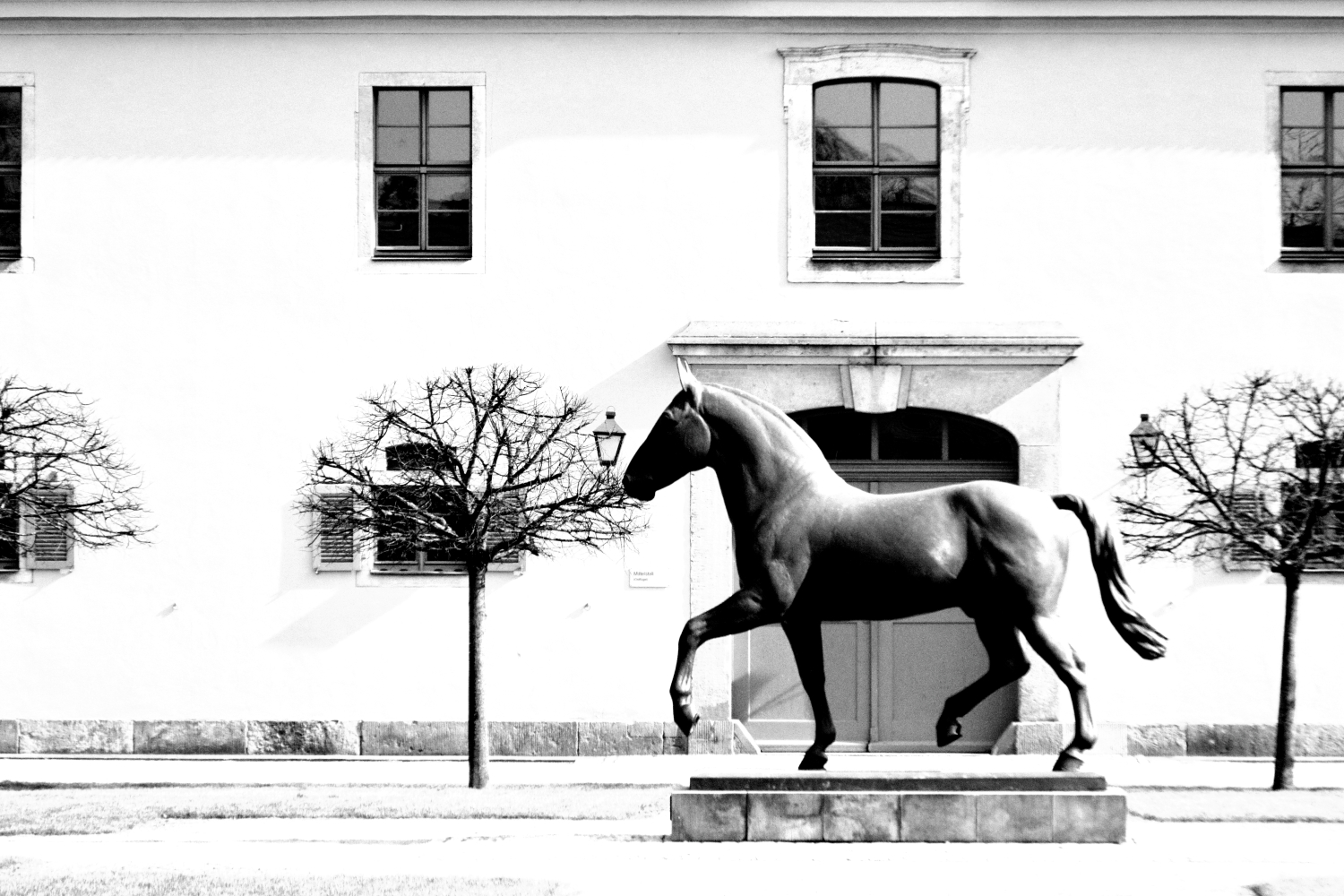 #SchlossMoritzburg #Pferd #Pferdestall